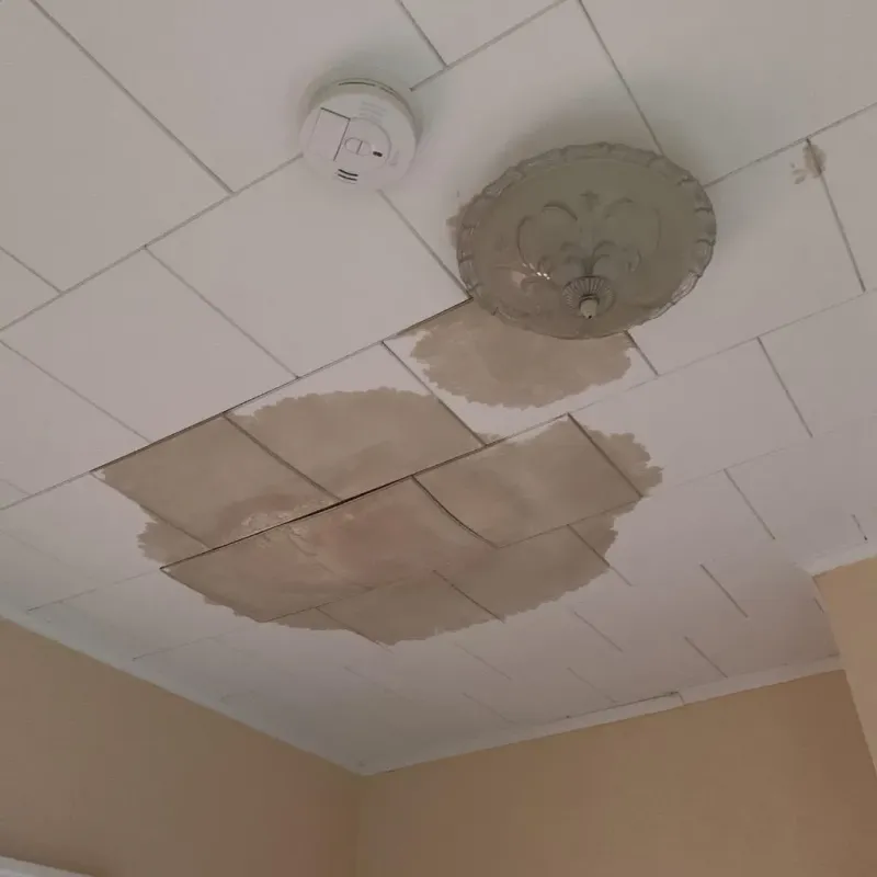 Ceiling Water Damage Repair in Springs, NY