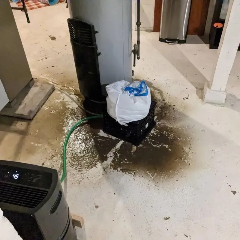 Sewage Backup Cleanup Service in Springs, NY